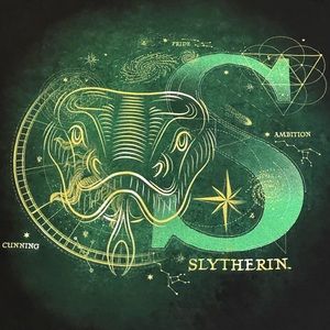 Harry Potter Slytherin tee - Size Large
